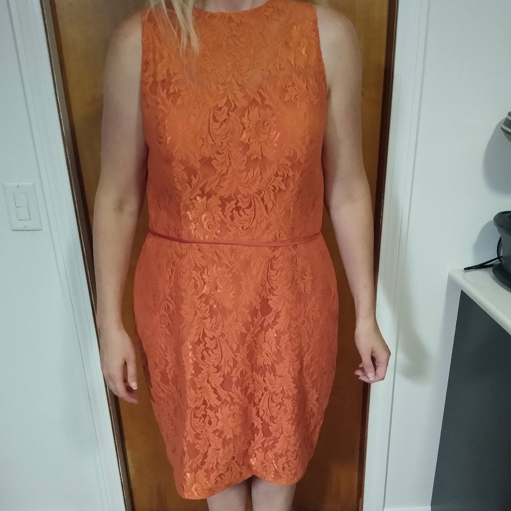 Colour by Kenneth Wilson Rust Dress Size 20